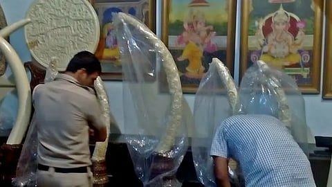 Who is real-life Mala Jogi? Amazon Prime's Poacher True Story explained