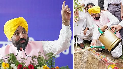 CM exhorts people to transform plantation drive into a mass movement