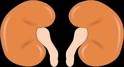 Sodium-potassium level imbalance can pose adverse health risks in kidneys, experts say