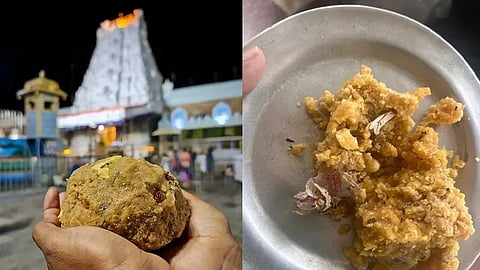 Tirupati Prasadam Tobacco
