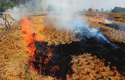 SC says arrest farmers to curb stubble burning