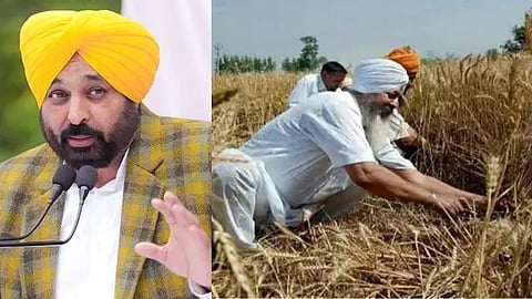 Bhagwant Mann, Bhagwant Mann Steps Farmers Income Increase