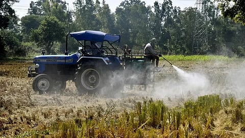 What is Bio-Decomposer? Delhi Government introduces free of cost alternative to stubble burning