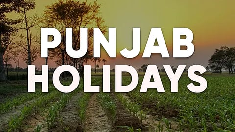 Punjab October 2024 holidays: Know when the schools and offices will remain closed