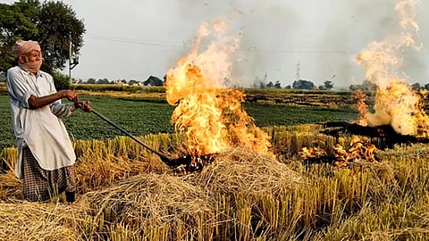 Supreme Court slams Centre for stubble burning crisis in Punjab & Haryana