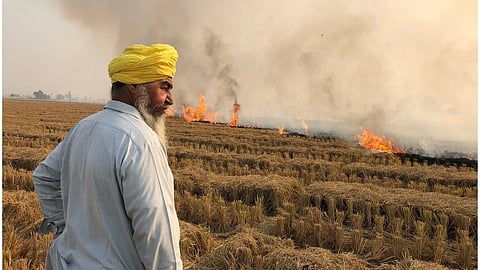 Punjab's AQI turns 'very poor': expert says, ‘stubble burning isn’t the only reason…’