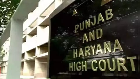 P&H HC disposes plea of student who allegedly submitted AI-generated assignment