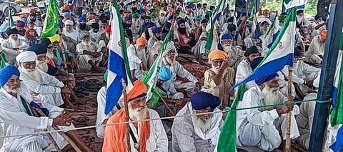 What to expect from Farmers' 'Dilli Chalo' on Dec 6; 235-km walk, Sambhu Border opening & everything you must know