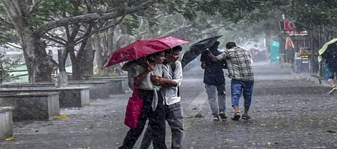 Punjab Weather Update, Punjab Winters, Punjab Rain, Punjab Winter Weather Forecast, Amritsar Rain December 3