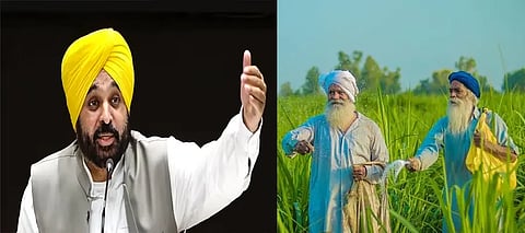 Agriculture Infrastructure Fund, Bhagwant Mann Agriculture Infrastructure Fund