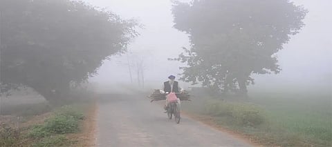 Punjab Winter, Punjab Coldwave, Punjab 0°C, Zero Temperature, Jalandhar 1°C, Punjab Yellowalert, Punjab Westerndisturbance