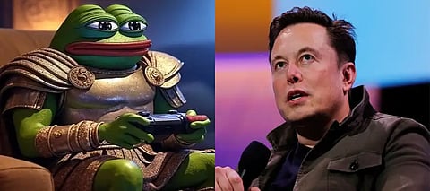 Kekius Maximus, Kekius Maximus Meaning, KekiusMaximus Meaning, ElonMusk NewName, ElonMusk NewTwitterName, ElonMusk Memecoin