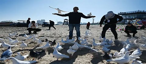 New Year 2025, New Year 2025 Last Country, LastCountry NewYear2025Celebration, NewYear2024 LastCountryCelebratory, HowlandIsland NewYearTiming