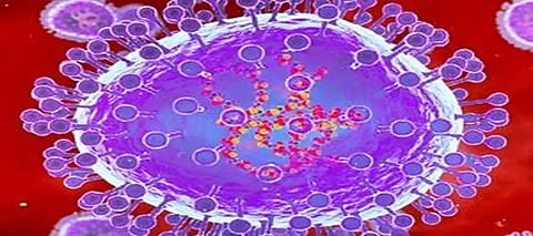 8-month-old baby in Bengaluru becomes India’s 1st case of HMPV; Karnataka to hold emergency meeting