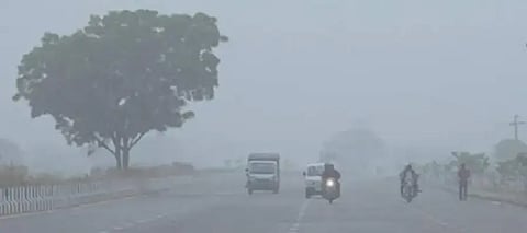 Punjab weather update: Severe cold wave alert gissued, rain likely on THIS date