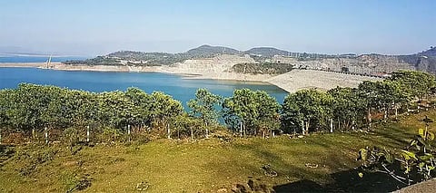 Punjab’s first wildlife sanctuary announced—Know its location, attractions, and what to expect