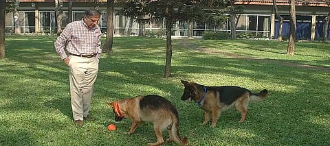 Ratan Tata, Ratan TataWill, Ratan Tata Rs 3,800 Cr Will, Ratan Tata Will Breakdown, Ratan Tata Wil Shantanu Naidu, Ratan Tata Will Pet Dogs, Ratan Tata Bungalow, Ratan Tata Juhu Bungalow, Ratan Tata Education Loan, Ratan Tata Neighbour