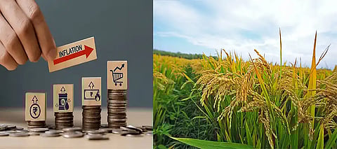 Amid summer peaking, IMD predicts 'above-normal' rain in monsoon; Know how it will blossom Indian economy
