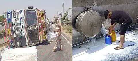 Milk-laden truck overturns near Jalandhar's Phillaur, locals rush with bottle and bucket to collect milk; Watch Video