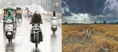 Rainfall alert in Punjab; winds at 40-60 km/h,16mm rain in Ropar, showers at These places—Know the upcoming weather forecast