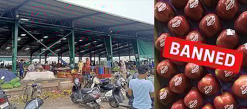 ‘Boycott pro-Pakistan Turkish market, says Jalandhar commission agents, vowing not to sell Turkish apples