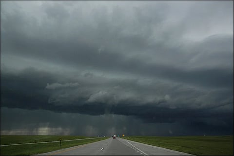 Sudden weather turn devastates Punjab: Uprooted trees, power cuts in wake of evening storms