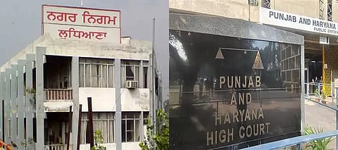 Punjab-Haryana HC issues warrants against LudhianaMC commissioner—Here’s the case summary