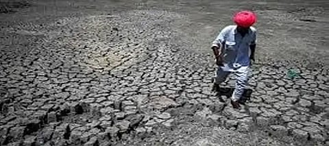 India records hottest year since 1901: 88% of 2024 marked extreme weather, 5 million displaced—will 2025 be worse?