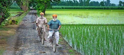 From parliament to panchayat; 11 of 13 Punjab MPs prioritise rural development—Check details