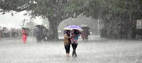 Punjab Rainfall Latest Prediction IMD