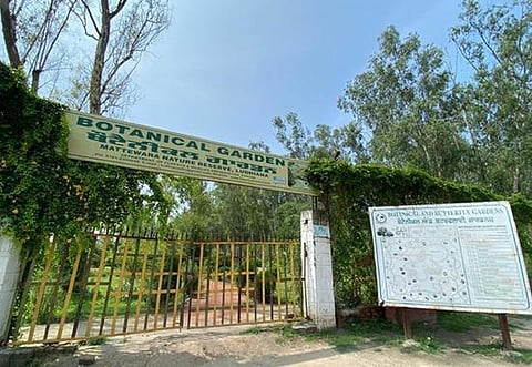 The construction of an Industrial Park near Mattewara forest could have been a death invite for Punjab