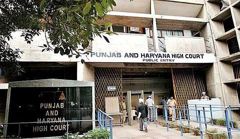 HC's big blow to Punjab govt: Put stay on tenders for 276 pits, allegations of ignoring guidelines of Pollution Department
