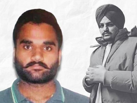 Sidhu Moosewala Murder: 'Mastermind' Goldy Brar flees from Canada after Punjab Govt amps up pressure for his extradition