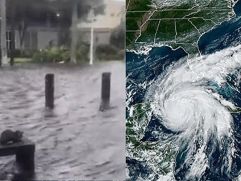 Hurricane Ian Florida: US media Meteorologist slammed for filming struggling kitten in storm & not helping it