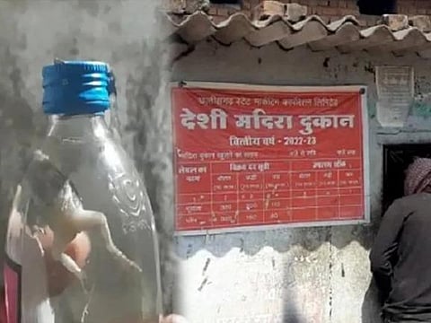 Chhattisgarh, Korba: Dead frog found inside sealed country liquor bottle; locals demand probe against contractor