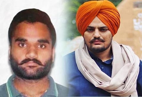 Sidhu Moosewala Murder Case: Gangster Goldy Brar detained in California, know will he be extradited or not