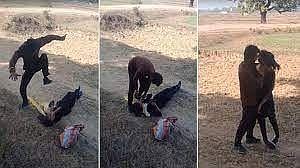 Rewa: MP Man thrashes girlfriend, stomps over her head after she refuses to marry in the distressing video; Watch