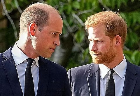 ‘He knocked me to the floor’: Prince Harry was physically attacked by brother William over Meghan Markle
