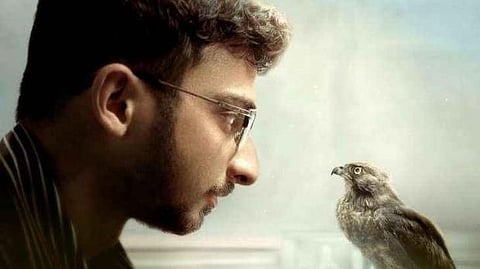 All That Breathes OTT Release: When & where to watch Oscar-nominated documentary finally streaming in India