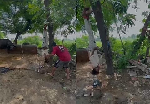 Viral Video exposes Horrific Assault: Bihar Worker Brutally Beaten in Jalandhar Village over Missing Money