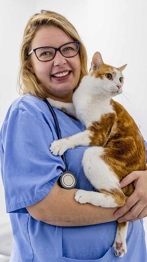 8 Most Expensive Degrees in the World