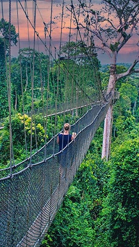 9 Most Dangerous Bridges of World