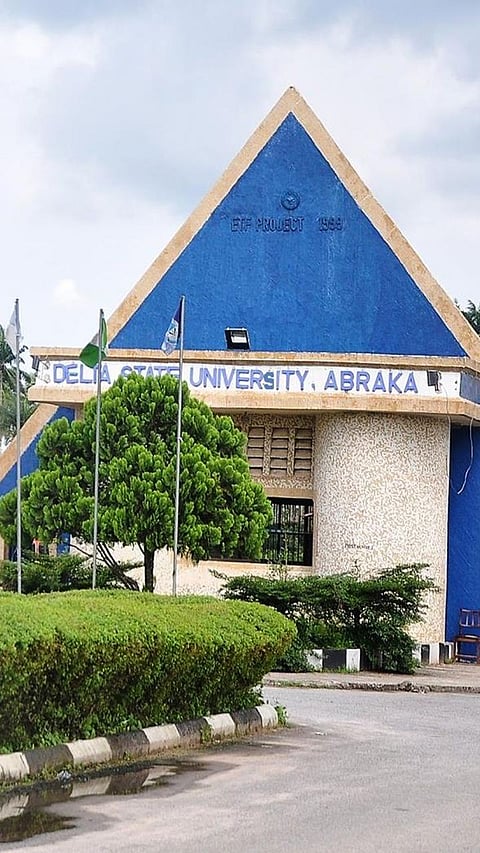 Top 9 cheapest universities in the US for international students