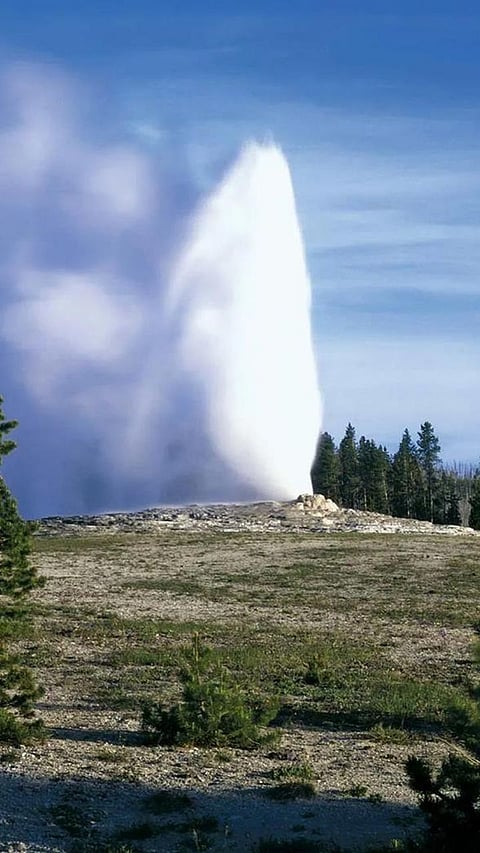 9 best tourist spots where you can actually enjoy wildlife