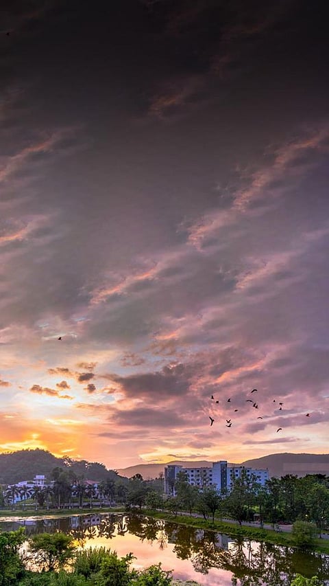 8 Indian IIT  with the Most Awards