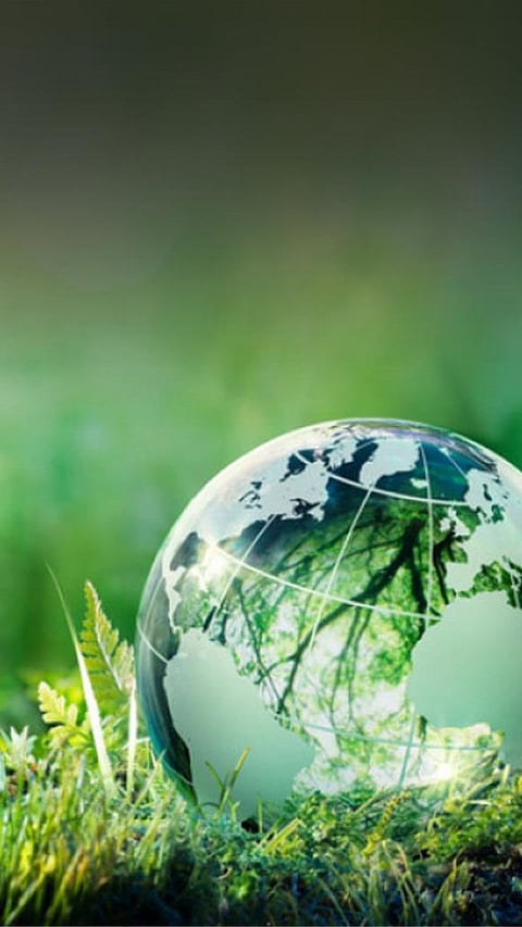 The 7 Best Colleges for Environmental Science Programs