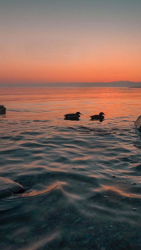 Luxury Retreats for Couples: 7 Perfect Resorts for Romance