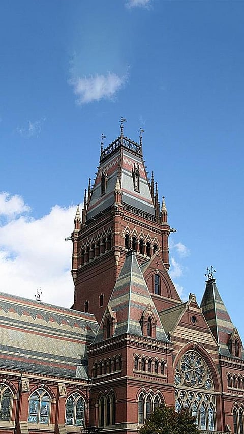 Top 9 US Universities: High Job Placement with Google, Microsoft, and More