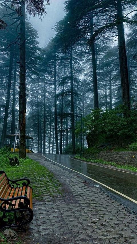 9 Cities in India with Clean Air: A Breath of Fresh Air