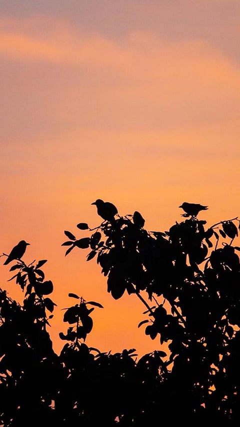 Top 6 Engineering Colleges in Bengaluru with High Salary Placements